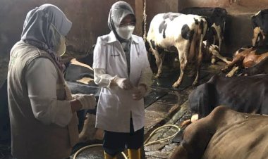 Kota Bogor Nihil Kasus PMK