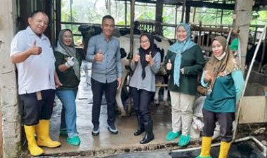 Pemkot Tasikmalaya Distribusikan Vaksin Booster PMK