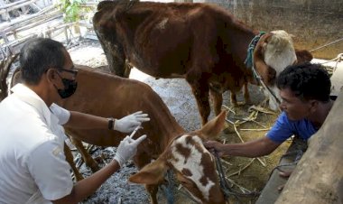 Wabah PMK Berdampak pada Perekonomian Garut
