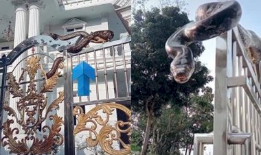 Rumah Mewah Ini Dijaga Ular Besar Bak Satpam