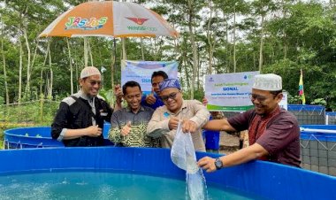 Luncurkan Budi Daya Gurami di Bantul, Karyawan XL Axiata Bantu Ekonomi Warga
