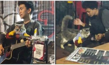 Ngamen Bawa Kucing Bikin Gemes Netizen