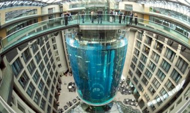 Akuarium Raksasa di Hotel Berlin Meledak, Semburkan 1.500 Ikan
