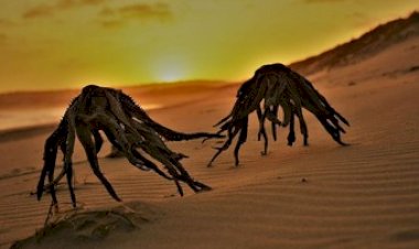Viral Foto Makhluk Mirip Alien Muncul dari Laut