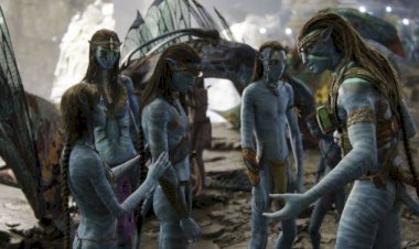 Apakah Avatar 2 Bisa Menang Oscar?