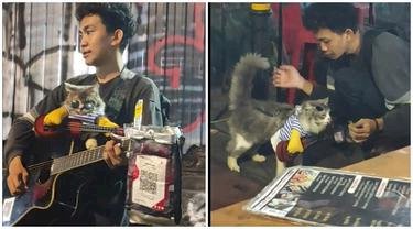 Ngamen Bawa Kucing Bikin Gemes Netizen