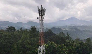 Media Sosial Dominasi Lonjakan Trafik Smartfren