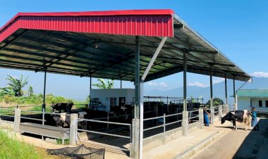 Jumlah Pelanggan Program Electrifying Agriculture Meningkat
