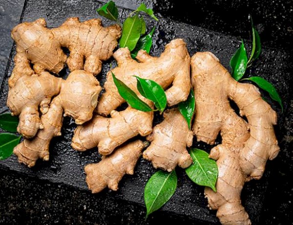 Deretan Bahan Alami Hilangkan Lendir Paru-paru