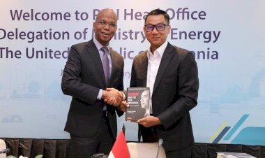 PLN akan Bangun Sistem Kelistrikan Afrika Timur