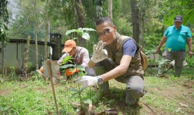 Bio Farma Ajak Karyawan Tanam Pohon di Taman Buru Gunung Masigit Kareumbi