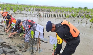 SAR Bandung Tanam 500 Bibit Mangrove di Pantai Muara Bondet Cirebon