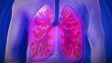 Cara Membersihkan Paru-paru Dari Efek Rokok