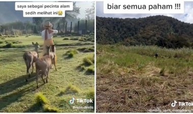 Viral Komunitas Motor Trail Rusak Kebun Edelweis di Ranca Upas Ciwidey