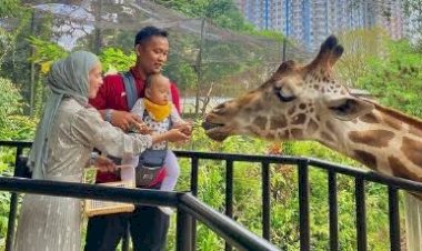 Nikmati Libur Lebaran Seru di Bandung Zoo, Ada Fasilitas Terbaru Lho!
