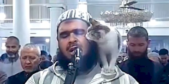 Viral Kucing Lompat ke Pundak Imam saat Salat, Pergi Setelah Cium Pipi