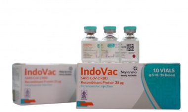 Kantongi EUA dari BPOM Vaksin IndoVac Bio Farma Siap Digunakan sebagai Booster