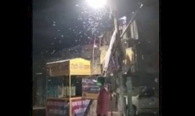 Viral Hujan Cacing di India