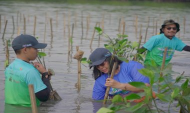 Peringati Hari Lingkungan Hidup dan Laut Sedunia, Biofarma Group Tanam 5.500 Bibit Mangrove di Subang