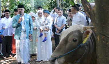 Ridwan Kamil Tinjau Pemotongan Hewan Kurban Salman ITB, Hasilnya...