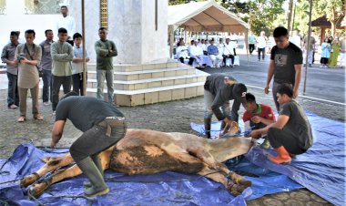 Kodam III/Siliwangi Sumbangkan Belasan Ekor Hewan Kurban pad Idul Adha 1444 H