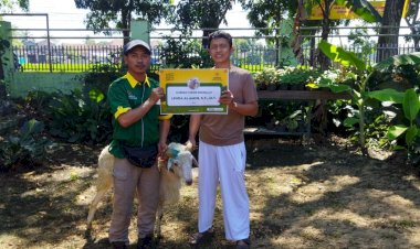 Melalui Yayasan Roda Amal, Baznas Jabar Salurkan Hewan Qurban Bagi Penyintas Gempa Cianjur