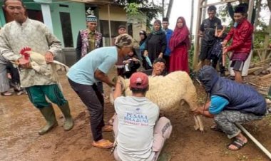 Kurban Kemanusiaan, Program JQR Salurkan Hewan Kurban Ke Pelosok Desa Jawa Barat