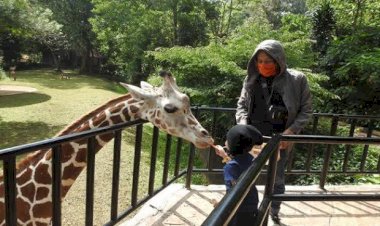 Zona Petting Zoo Segera Dibuka di Bandung Zoo