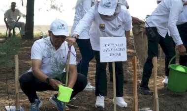 PLN UIP JBT Salurkan Bantuan 31 Ribu Pohon untuk Kabupaten Batang