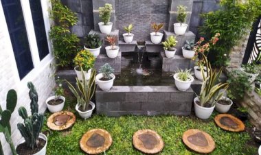 Rekomendasi Desain Kolam Ikan Minimalis Unik dan Sejuk