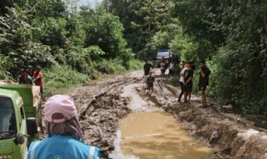Kini Warga di Pedalaman Sulawesi Bisa Nikmati Listrik