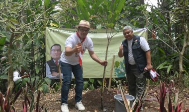 Selama Lima Tahun, 83 Juta Bibit Pohon Tertanam dan 81 Ribu Ha Lahan Kritis Pulih di Jabar