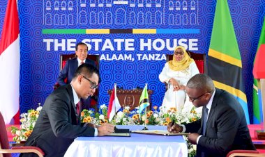 Disaksikan Presiden Jokowi, PLN Teken Kerjasama dengan TANESCO, Kembangkan Ekosistem Ketenagalistrikan di Tanzania