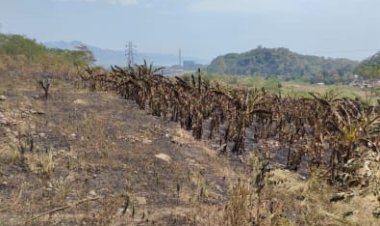 Satu Titik Kebakaran Hutan Gunung Jayanti Sukabumi Sudah Padam