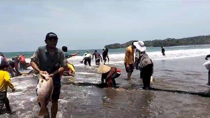 Nelayan di Pangandaran Tangkap 2,6 Ton Kakap Merah