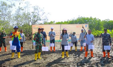 5 Ribu Pohon Mangrove Ditanam di Pangandaran