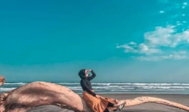 Menikmati Keindahan Pantai Cemara Cipanglay