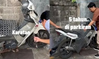 Motor Terbengkalai di Parkiran Kampus Selama 5 tahun