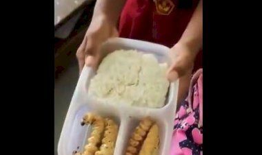 Ulat Sagu Ternyata Bergizi, Jadi Bekal Anak Sekolah