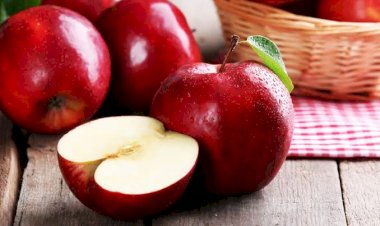 Makanan Lezat Ini Ampuh Turunkan Kolesterol