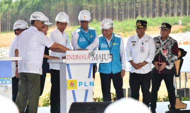Hadirkan 100% Energi Bersih, Presiden Jokowi Groundbreaking Pembangunan PLTS PLN 50 MW di IKN Nusantara