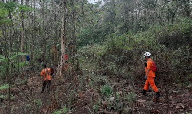 Security BIC Hilang di Hutan Purwakarta, Tim SAR Gabungan Lakukan Pencarian