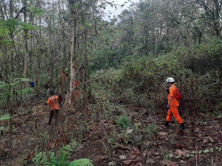 Security BIC Hilang di Hutan Purwakarta, Tim SAR Gabungan Lakukan Pencarian