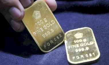 Tanaman Ini Bisa Hasilkan Emas, Tumbuh Subur di Indonesia