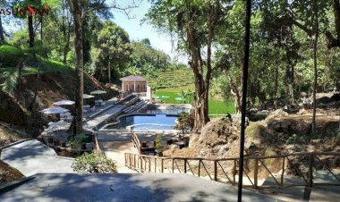 Tempat Wisata Nuansa Alam di Kuningan yang Tawarkan Rindangnya Hutan Pinus
