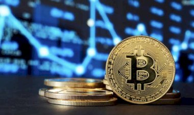 Ternyata Bitcoin Tidak Menghasilkan Apa-apa
