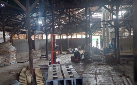 Electrifying Agriculture Dukung Produktivitas Sektor Pertanian