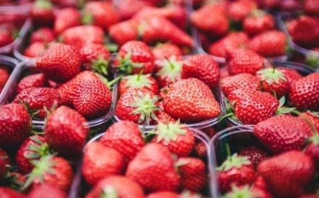 Buah-buahan yang Tidak Boleh Dicampur untuk Jus, Alasannya...