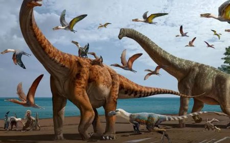 Dinosaurus Ternyata Tidak Berumur Panjang