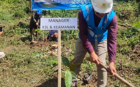 Hijaukan Hutan di Proyek PLTA Upper Cisokan, PLN UIP JBT Tanam 33 Ribu Pohon